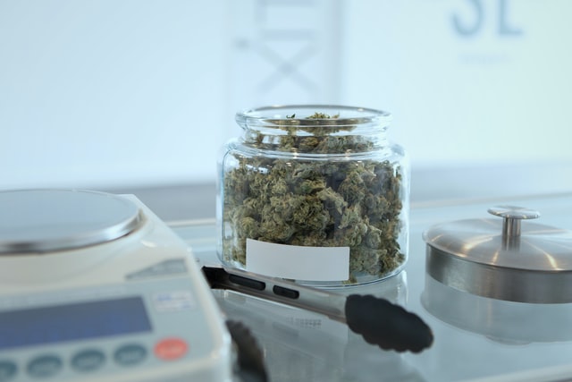 4 Façons De Mesurer Du Cannabis Sans Balance - Zamnesia Blog