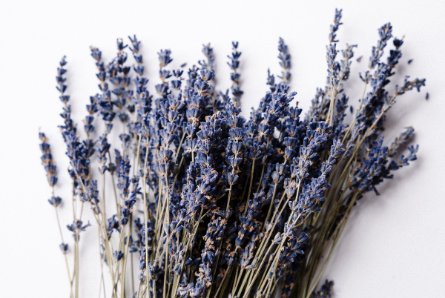 Why people are vaping or smoking lavender - DynaVap