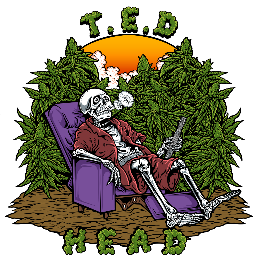 T-Shirt: TED Head
